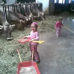 Agroturismo Haus Laerchenhof *
