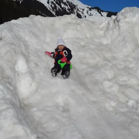 Çiftlik konaklama Haus Laerchenhof